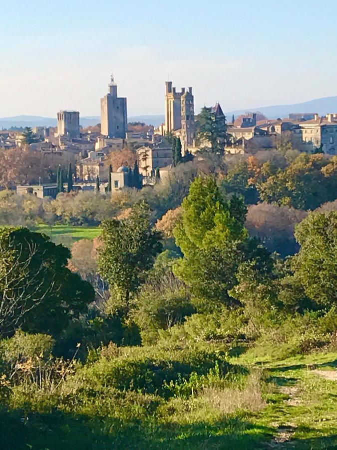 Maison De Roche-Uzes Centre Historique L' Ucetia Eksteriør billede